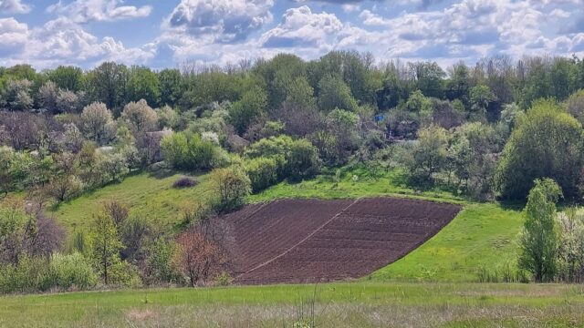 Земельна ділянка під ведення садівництва с. Здорівка