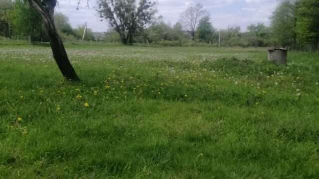 Продаж земельної ділянки в Калинівці